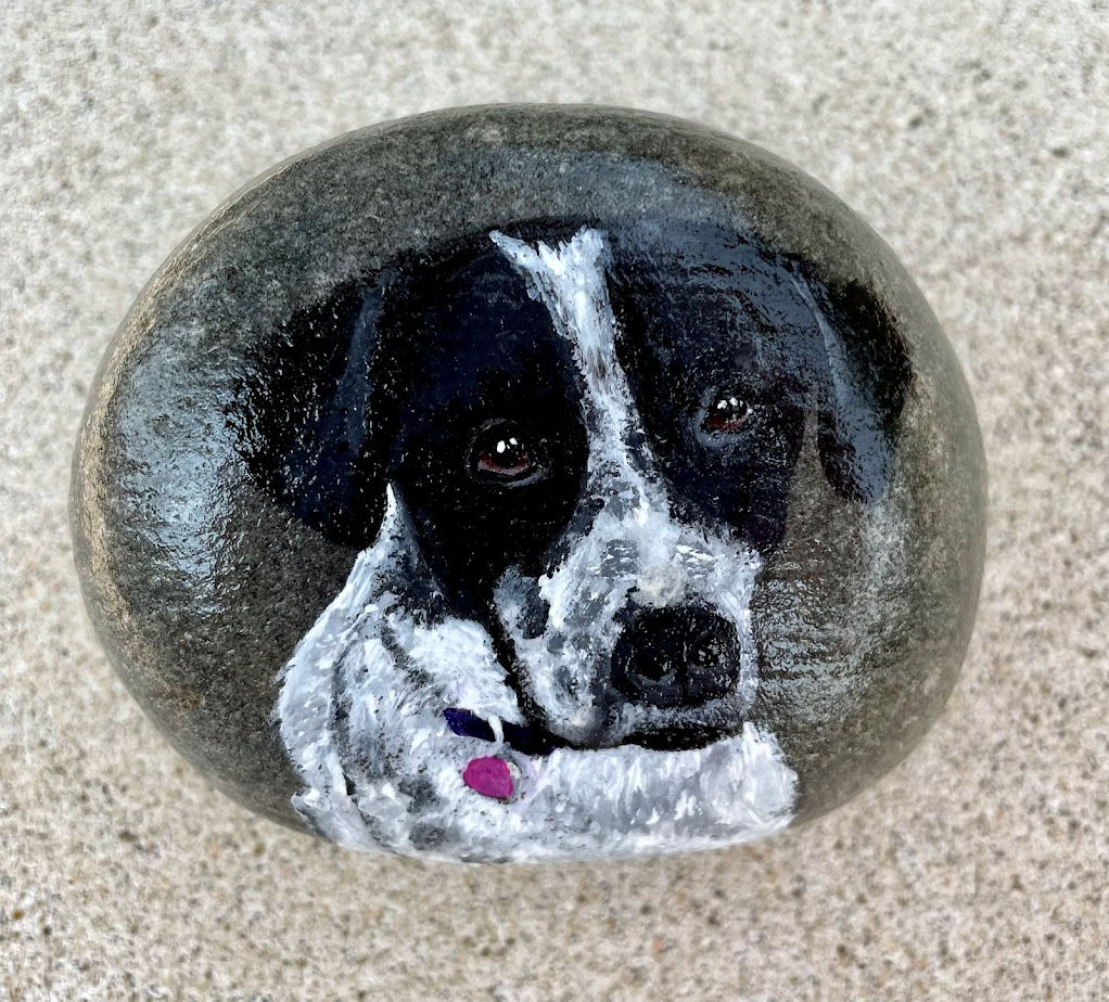 Custom Dog & Cat Rocks