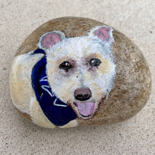 dog rock- becky.jpeg