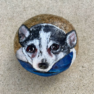 julie dog.jpeg
