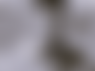 A Country journey, or something like it !