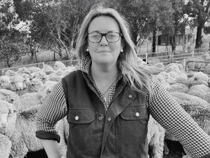 Wool’s Reputational Risk: Why Mulesing Demands a Strategic Response