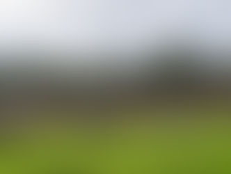 Commercial Realities of Live Export Ban Hit Home