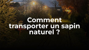 Comment transporter un sapin naturel ?