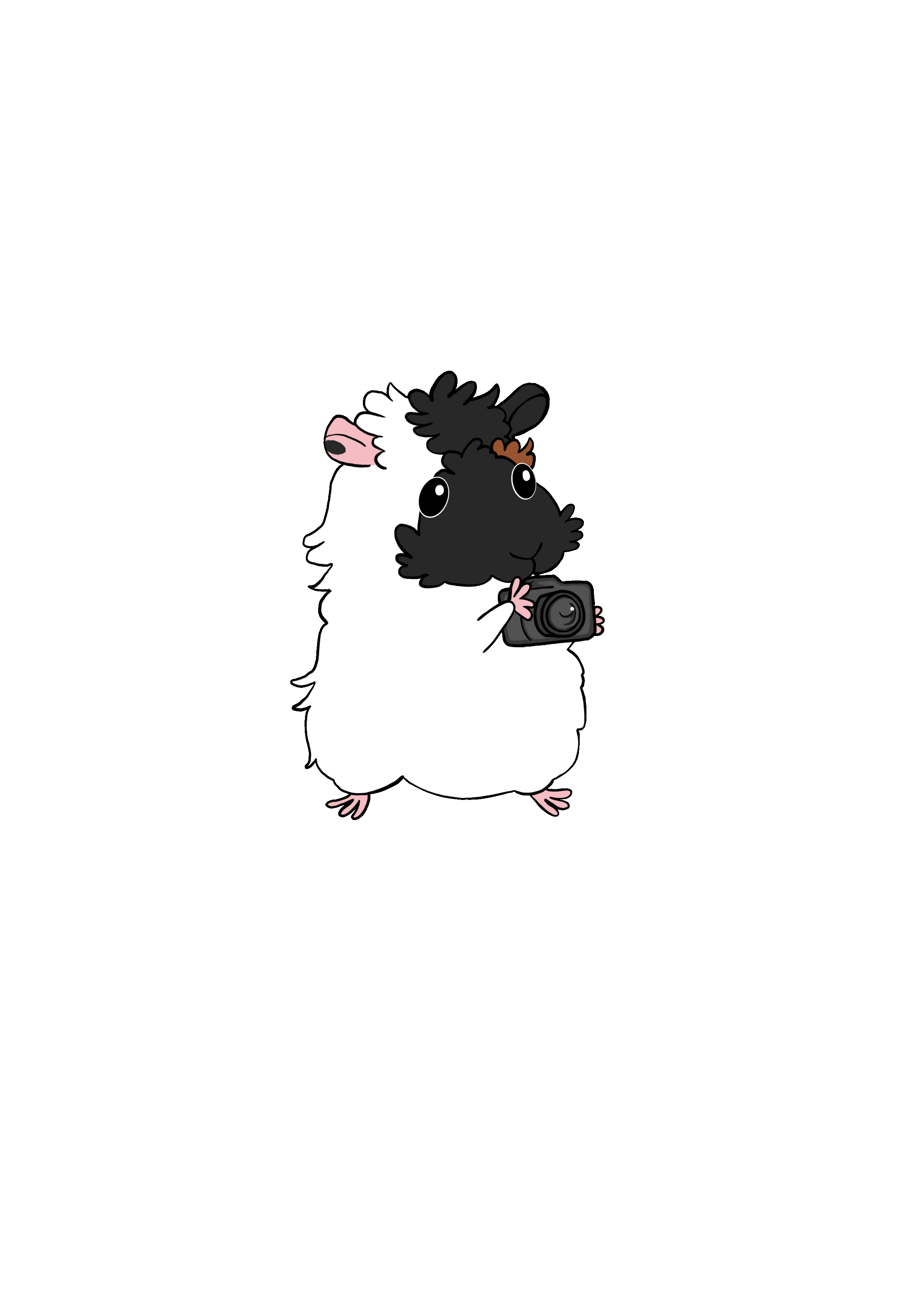 IMG_3123.GIF