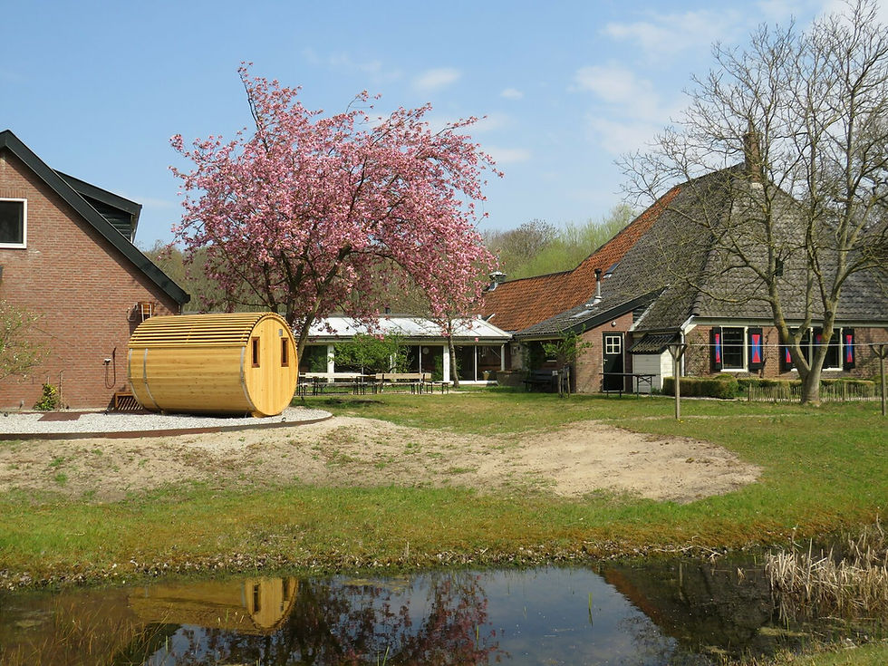 Thumbnail: Young & Free weekend retreat (20-39 jaar)