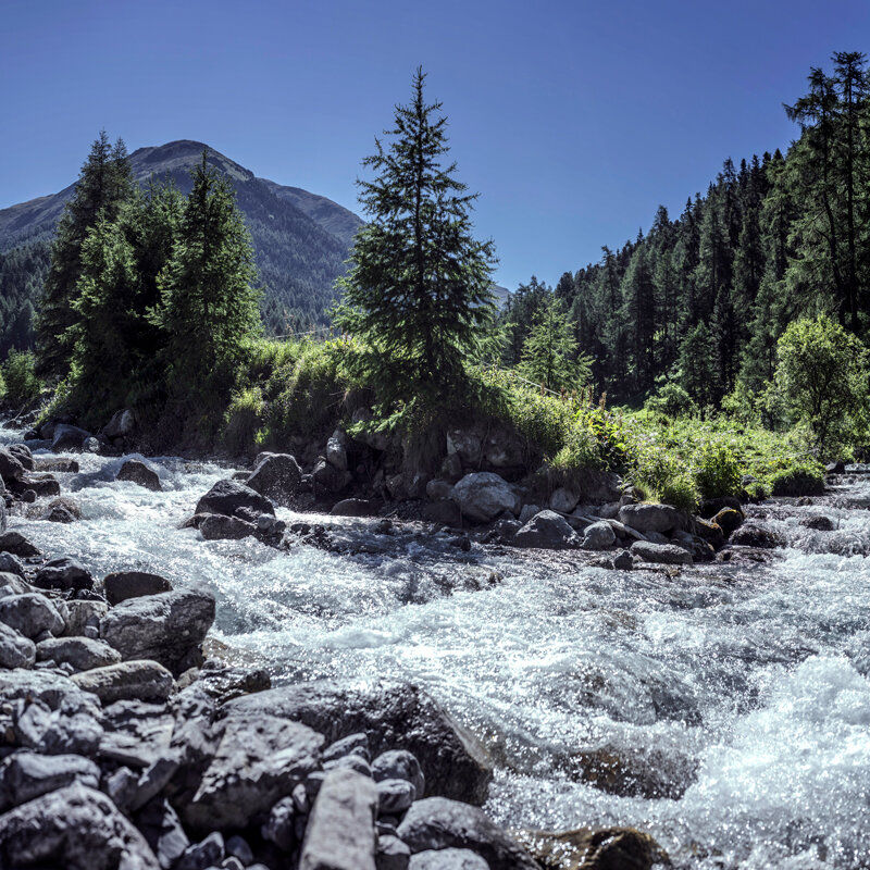 Thumbnail: Holiday retreat: Mindful Dance Improvisation (Switzerland)