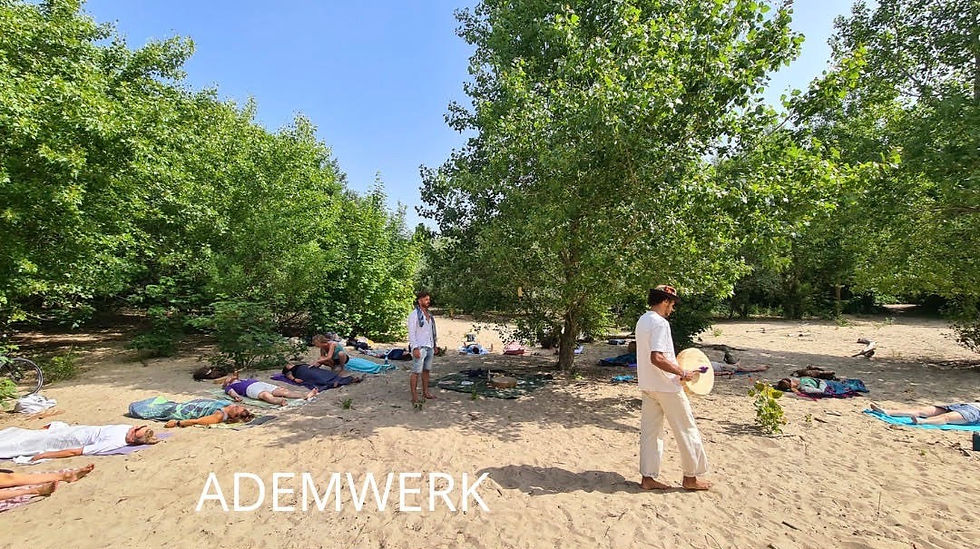 Thumbnail: Yin/Gentle Flow Yoga en Ademwerk