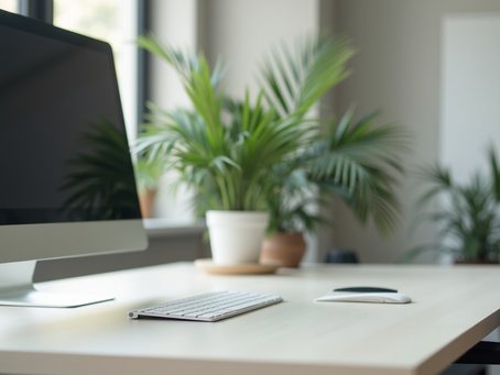 Why Professional Office Cleaners Matter