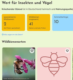 Screenshot 2026-05-03 172242.jpg