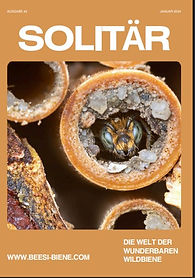 Screenshot 2025-07-19 164835.jpg