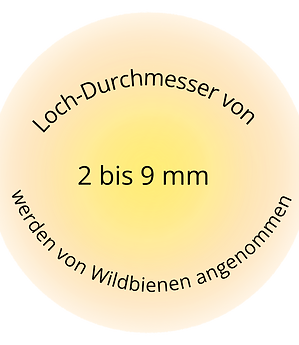 Ida-Box Punkt (10)_edited.png