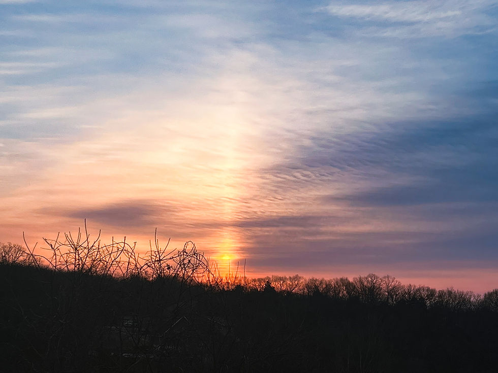 Sunset with colorful orange, pink, and blue sky. Bare tree branches silhouette in the foreground. Calm, serene atmosphere.