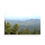 Thumbnail: Photograph of a sunset over Iron Mountain Drive in Custer State Park, Black Hills, South Dakota, featuring Ponderosa Pines al