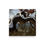 Thumbnail: Crooked Tree With Snow | Bright Sunny Winter Sky
