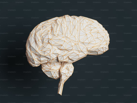 The Stress Response System: A neurobiological understanding