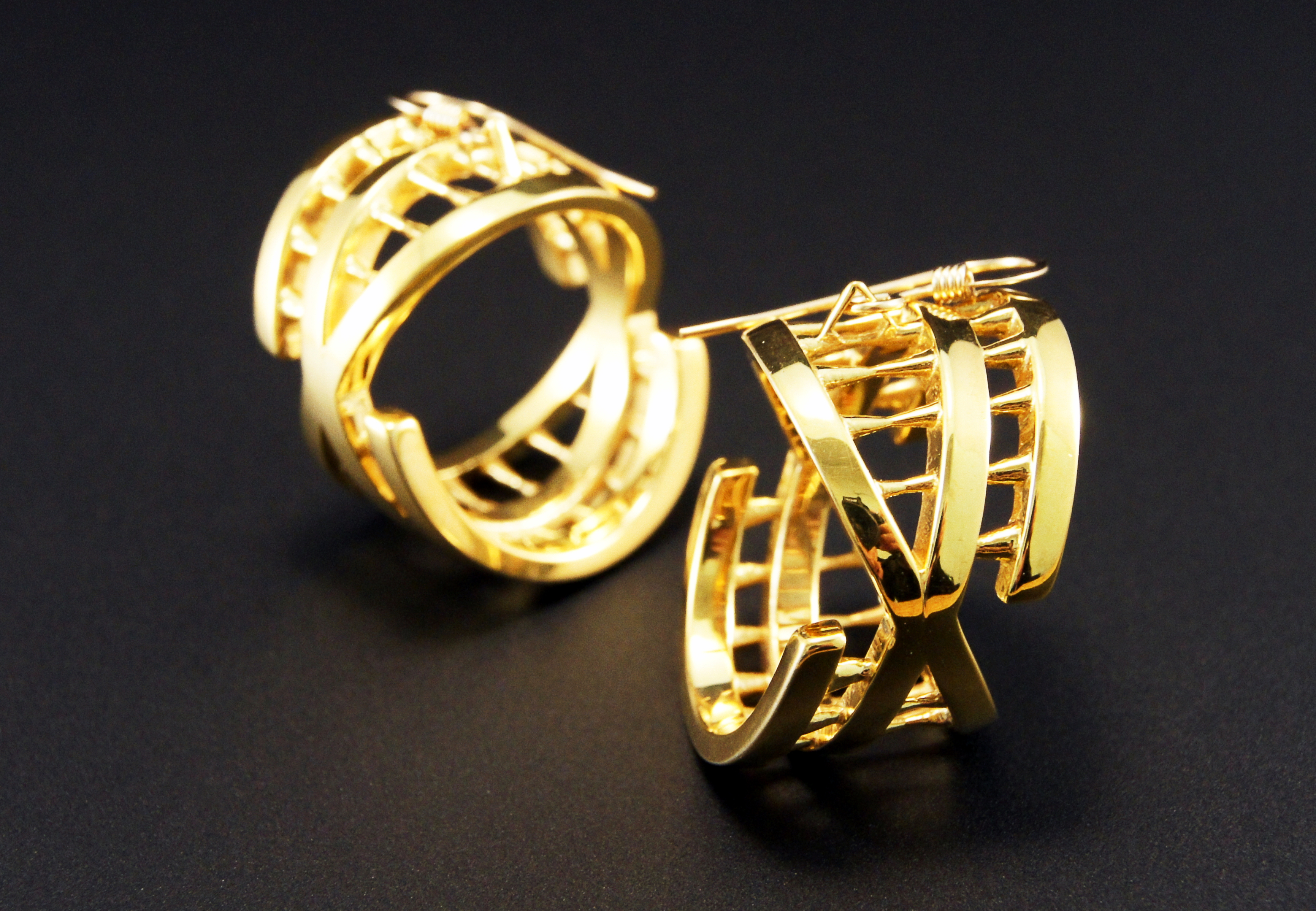 Interiority earrings