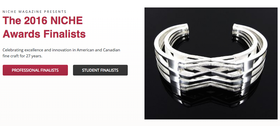 NICHE Silver Professional Finalist