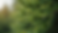 -post-ai-image-22956.png