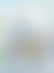 Crisis de pueblo: identidad, identidades y proyecto de país