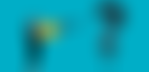 Formas de organización política