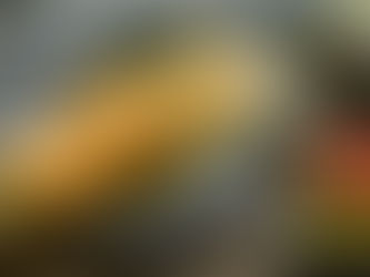 Las noticias de economía del 19Dic en Venezuela