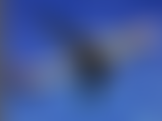 Gobierno de Portugal rechaza sanción a la aerolínea TAP