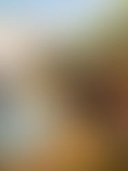 La fábula del elefante y los chimpancés