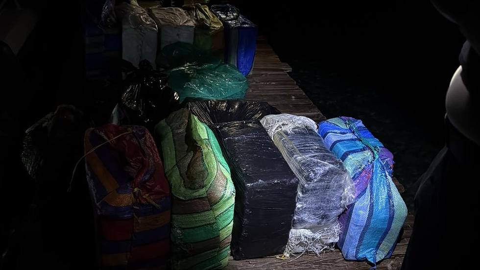 República Dominicana incautó droga este 21 de septiembre. Foto: Dirección Nacional de Control de Drogas de República Dominicana