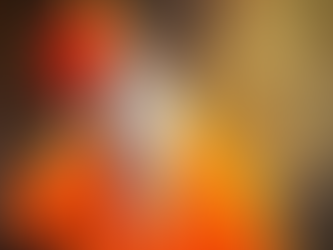 Reportajes y entrevistas