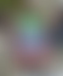 Jorge Rodríguez: "van más de 400 excarcelaciones y van a continuar"