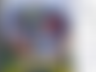 Magallanes vs Colombia por el título Serie de las Américas