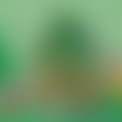 Las noticias de economía del 23Dic en Venezuela