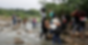 Venezolanos por el Mundo: Denuncian más de 200 desapariciones en las trochas