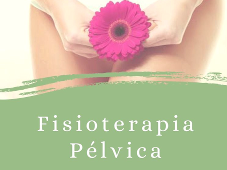 Fisioterapia pélvica