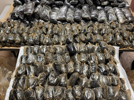 Enough Fentanyl To Kill More Than 40 Million People Just Seized At The Border