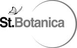 STB-Logo 1.png