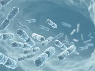 Topical probiotic Lactobacillus lactis treatment in atopic dermatitis: a placebo-controlled pilot study on tolerability and efficacy