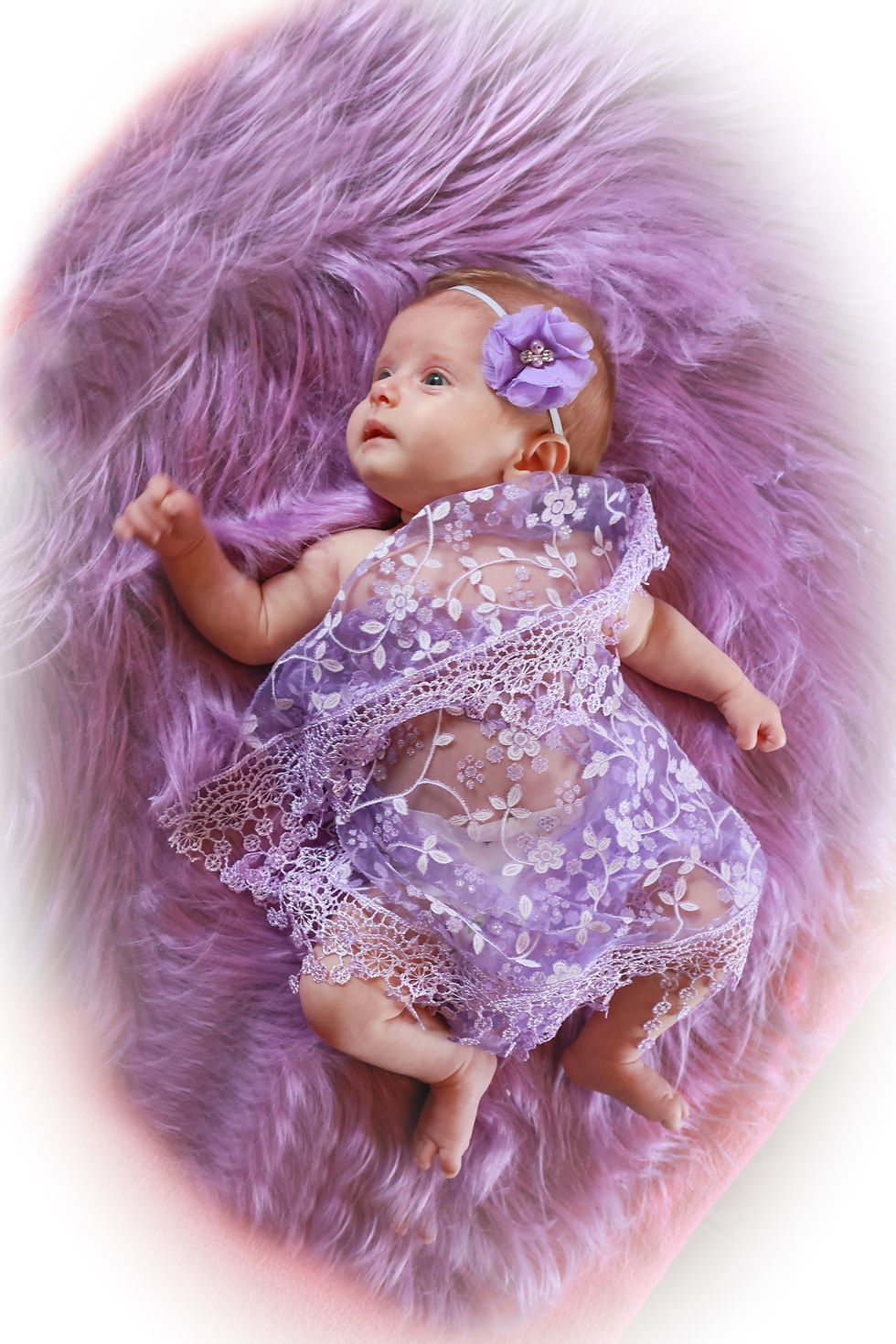 Rose princesse