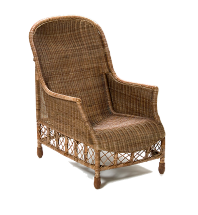 Arsheeya Rattan Understanding Rattan Species in Southeast Asia