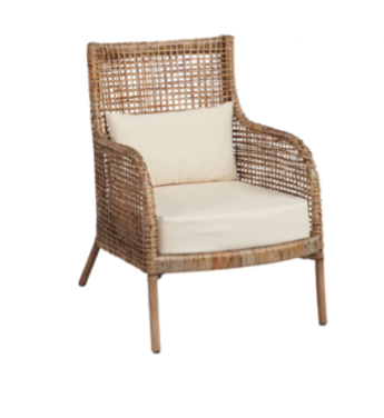Arsheeya Rattan Understanding Rattan Species in Southeast Asia