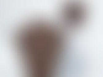 2025 Home Decoration Recap & 2026 Interior Design Forecast