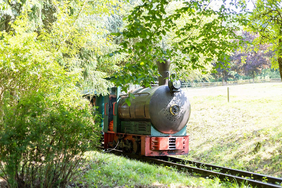 Fuhrbahn Tiere füttern Attraktion Eifel Zoo Lünebach Tierpark für Kinder Ausflugsziel Bitb