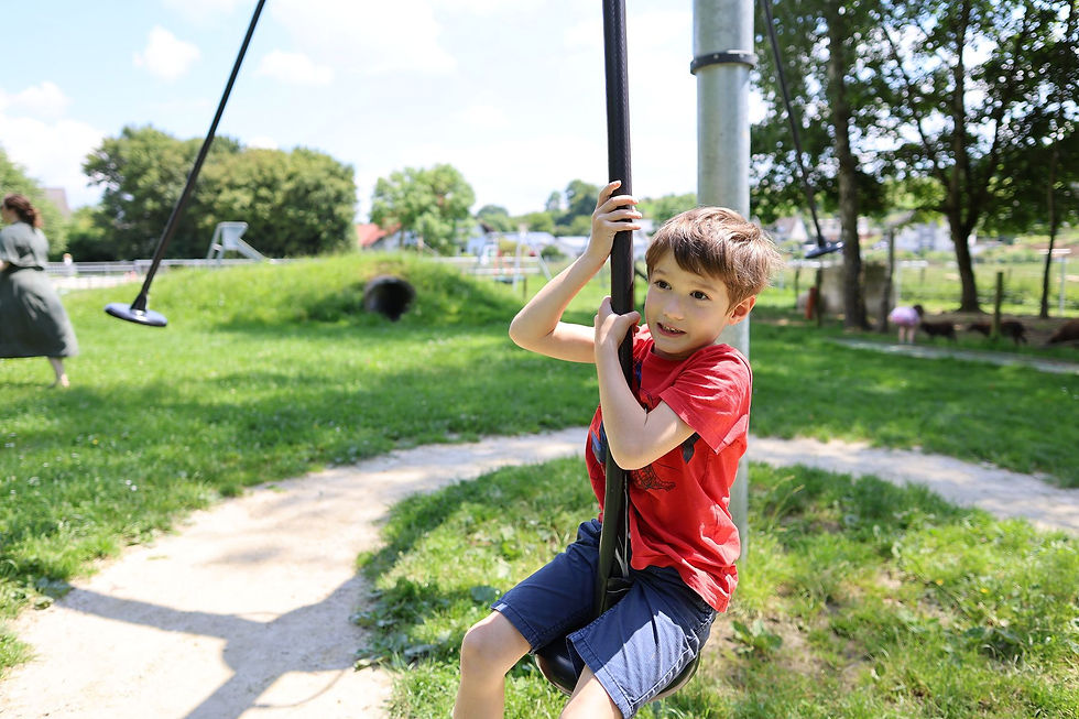 Spielplatz Seilbahn Aktivbauernhof Ferienhof Feinen Fleringen Urlaub auf dem Bauernhof Rei