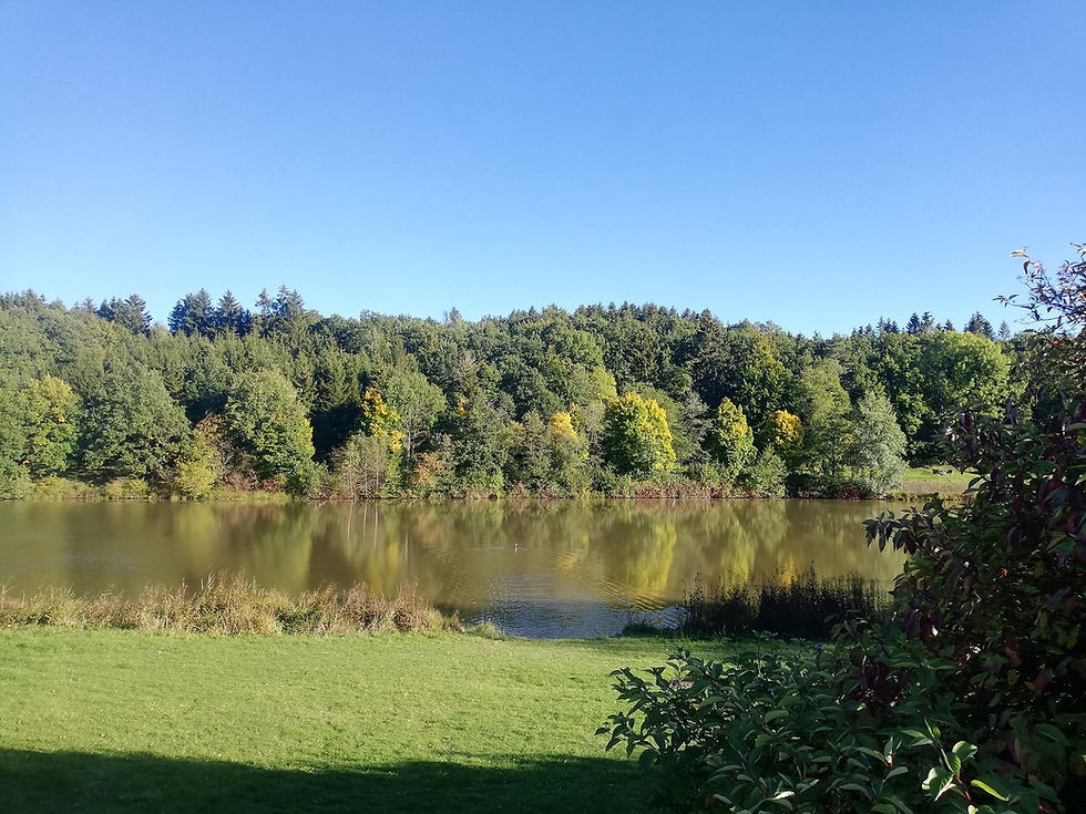 Stausee Ortsgemeinde Arzfeld Sehenswürdigkeiten Wandern Freizeit Islek Eifel