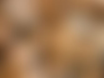 Artist Spotlight: Haley Johnson 