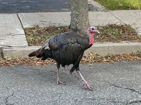 Where in the RIC is Gerald? 