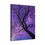 Thumbnail: Night Flight – Crow & Tree Silhouette Art Print by Jack Hunt 