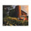 Thumbnail: Canvas Art Print  Vintage 1940 Ford Pickup with Barn and Queen Anne's Lace 