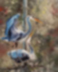 335944125-1610914689375686-908619489712086044-n