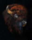 Bison16x20 copy.jpg